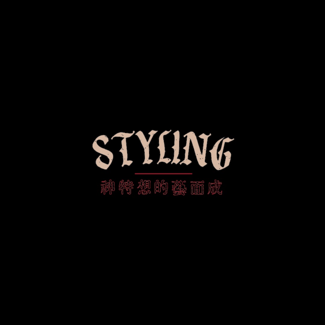 Styling Logo Image